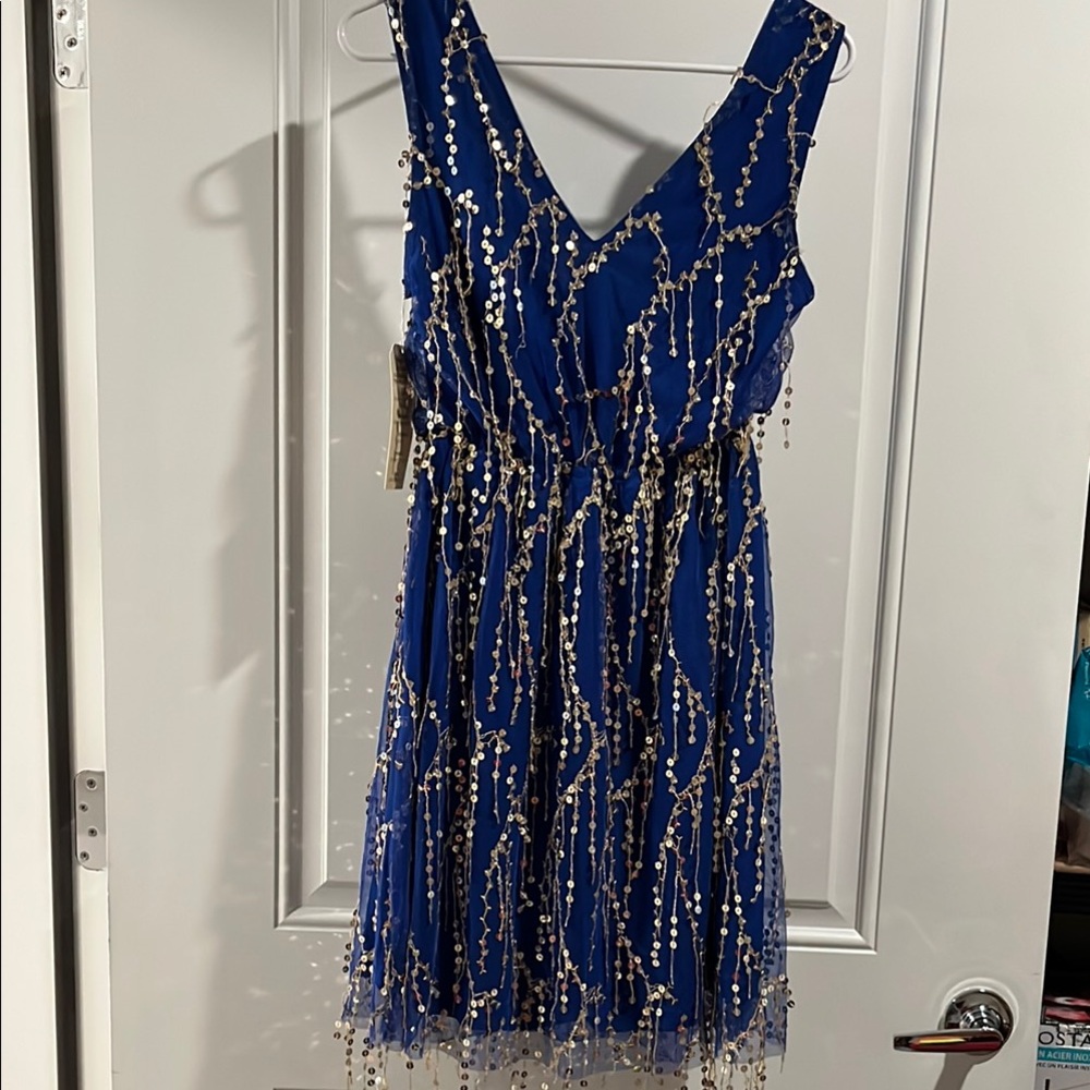 Southern fried chicks sequin dress NWT
